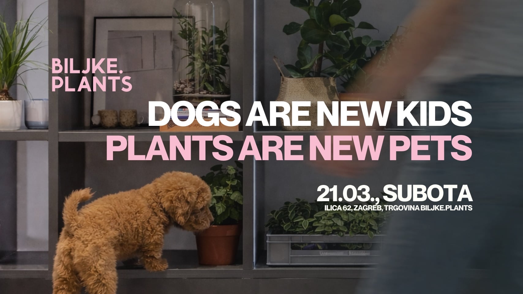 Pozivnica za event: Dogs are new kids, plants are new pets, druženje za vlasnike kućnih ljubimaca i ljubitelje biljaka na Ilici