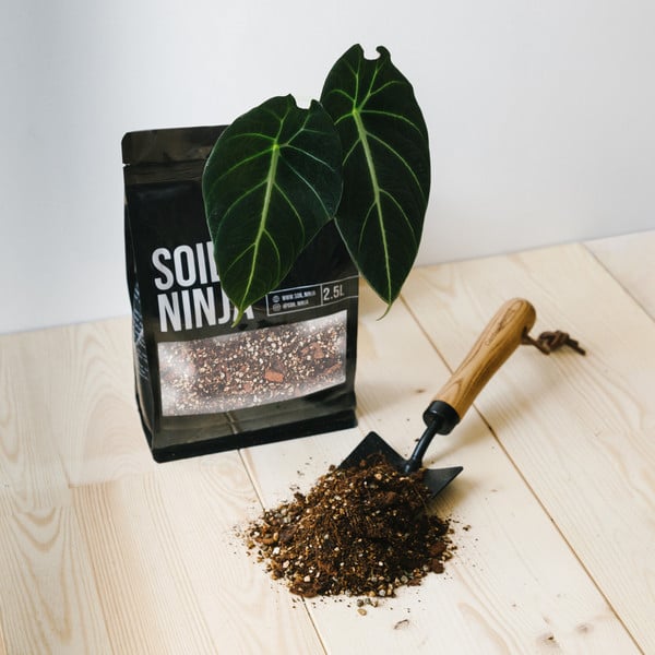 Soil ninja: supstrat za alokazije (zemlja, alokacija) - 2.5 l