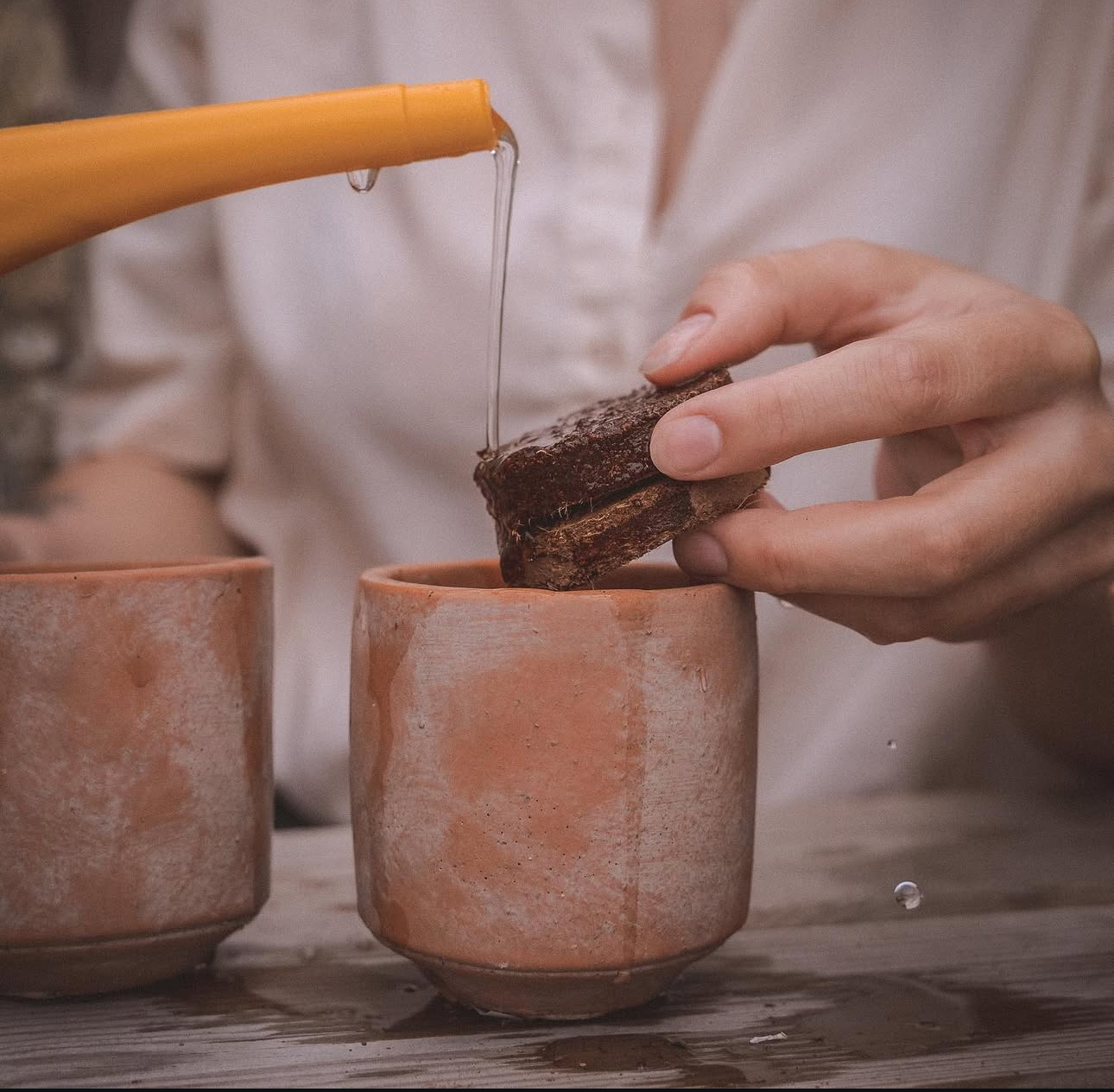 DIY set: Za uzgoj sobne biljke iz sjemena - Grow Your Own
