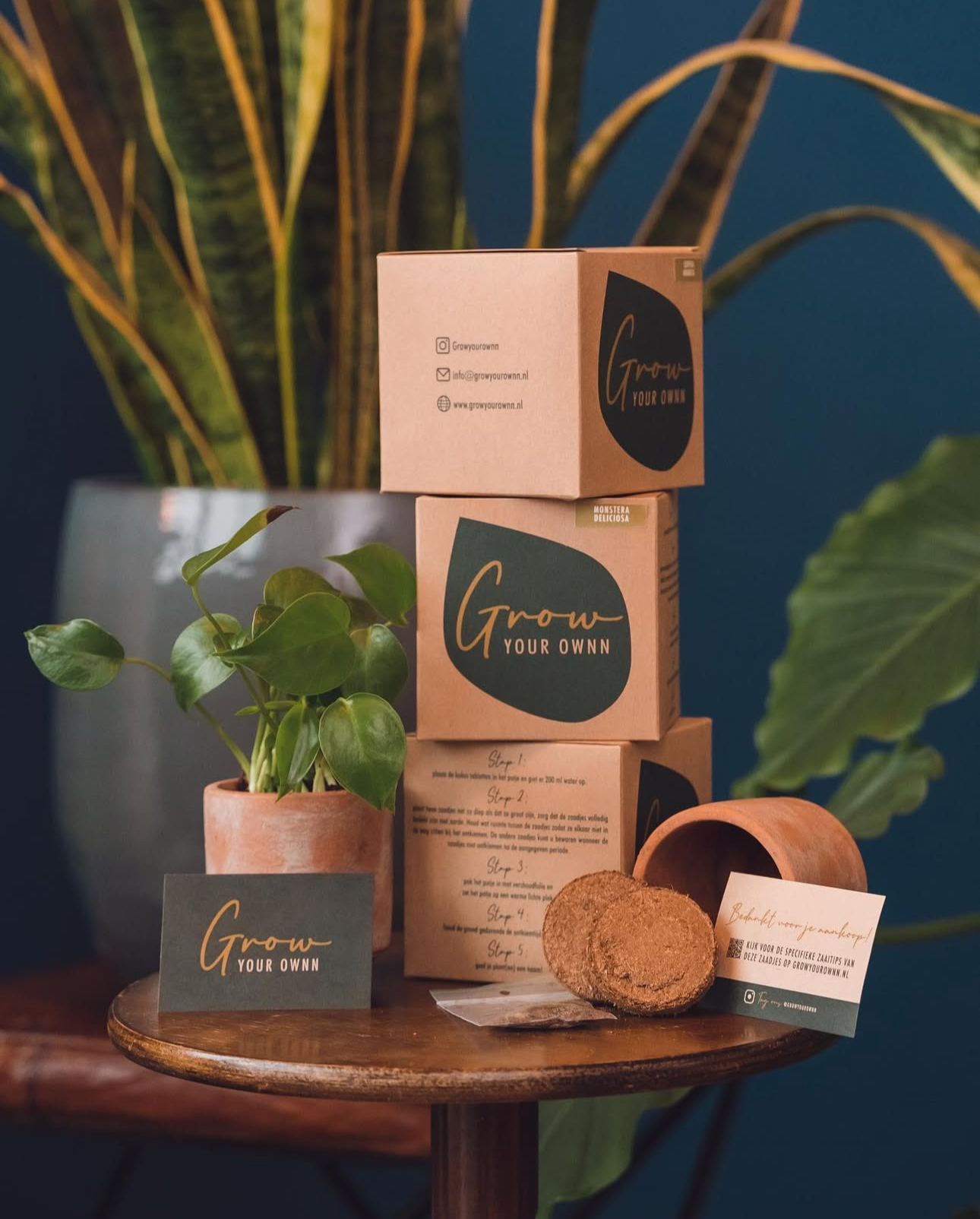 DIY set: Za uzgoj sobne biljke iz sjemena - Grow Your Own