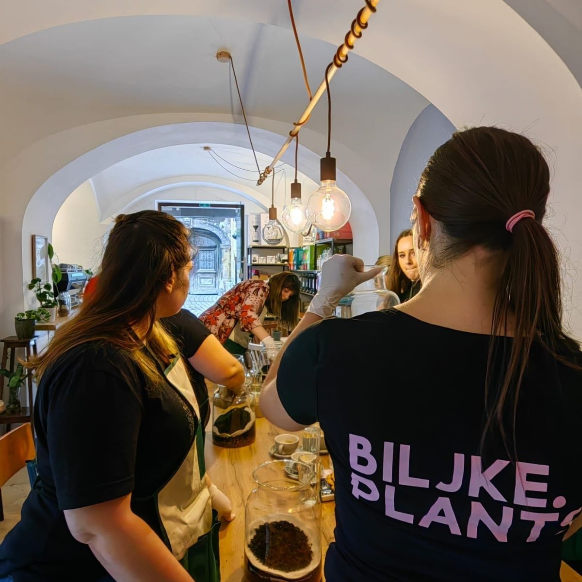 MICROBLINK: teambuilding
