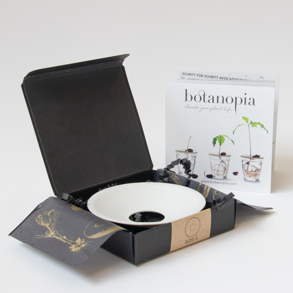 Tanjurić za klijanje: Botanopia - L