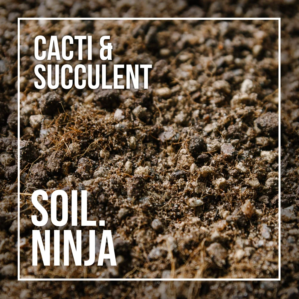Soil ninja: supstrat za kaktuse i sukulente (zemlja) - 2.5 l