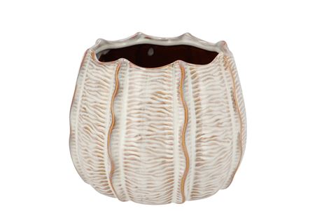 Tegla White Glazed - M